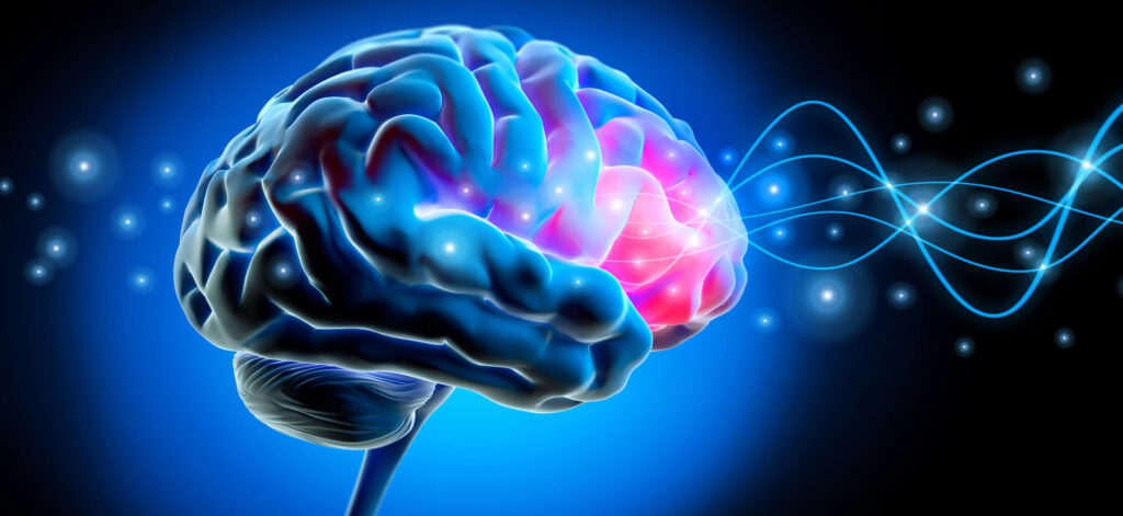 How the brain processes information, brain chemistry. How GLP-1s can change brain's food chatter