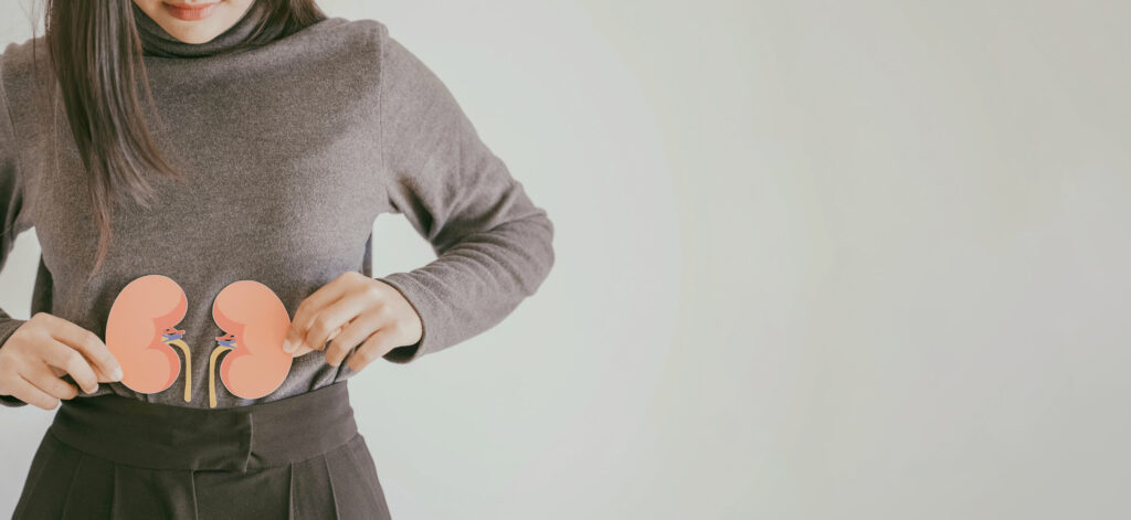 Woman with CKD holding model kidneys in front of stomach